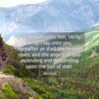 Picture 05 - John 1:51 KJV - And he saith unto him, Verily, verily, I say unto - Bible Verse Picture