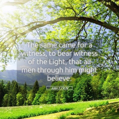 Picture 05 - John 1:7 KJV - The same came for a witness, to bear witness of - Bible Verse Picture