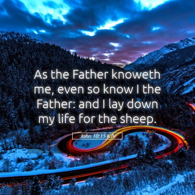 Picture 05 - John 10:15 KJV - As the Father knoweth me, even so know I the - Bible Verse Picture
