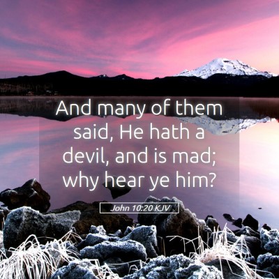 Picture 05 - John 10:20 KJV - And many of them said, He hath a devil, and is - Bible Verse Picture
