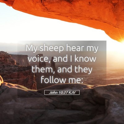 Picture 05 - John 10:27 KJV - My sheep hear my voice, and I know them, and they - Bible Verse Picture