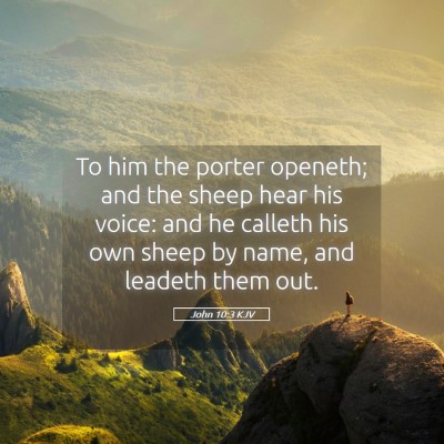 Picture 05 - John 10:3 KJV - To him the porter openeth; and the sheep hear his - Bible Verse Picture