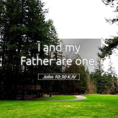 Picture 05 - John 10:30 KJV - I and my Father are - Bible Verse Picture