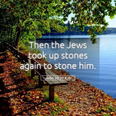 Picture 05 - John 10:31 KJV - Then the Jews took up stones again to stone - Bible Verse Picture