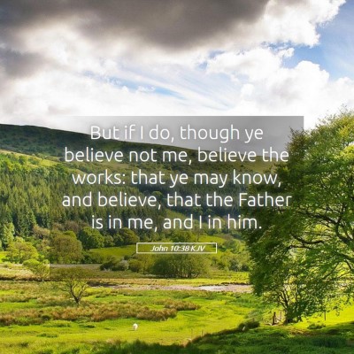 Picture 05 - John 10:38 KJV - But if I do, though ye believe not me, believe - Bible Verse Picture