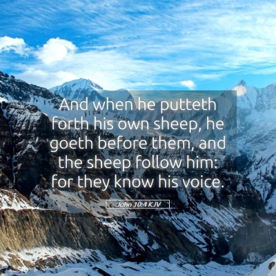 Picture 05 - John 10:4 KJV - And when he putteth forth his own sheep, he goeth - Bible Verse Picture