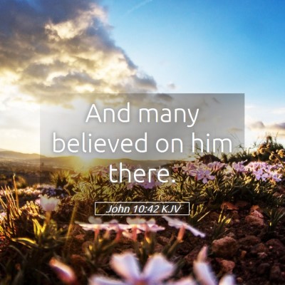 Picture 05 - John 10:42 KJV - And many believed on him - Bible Verse Picture