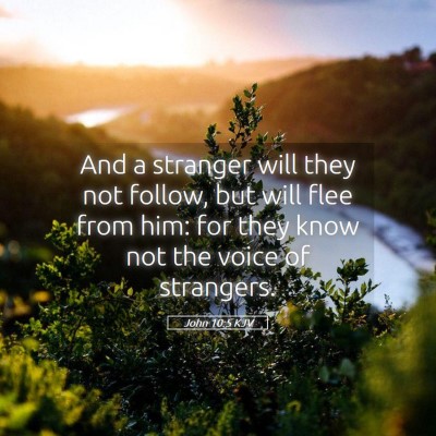 Picture 05 - John 10:5 KJV - And a stranger will they not follow, but will - Bible Verse Picture