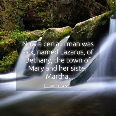 Picture 05 - John 11:1 KJV - Now a certain man was sick, named Lazarus, of - Bible Verse Picture