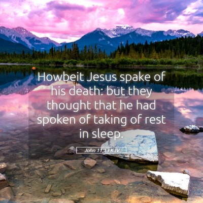 Picture 05 - John 11:13 KJV - Howbeit Jesus spake of his death: but they - Bible Verse Picture