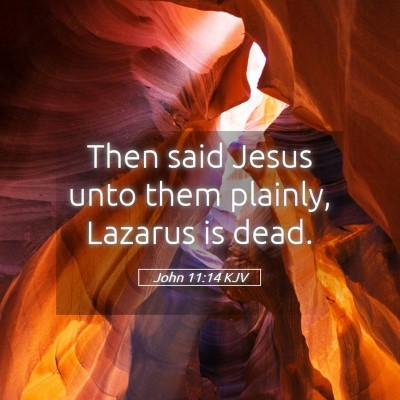 Picture 05 - John 11:14 KJV - Then said Jesus unto them plainly, Lazarus is - Bible Verse Picture