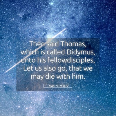 Picture 05 - John 11:16 KJV - Then said Thomas, which is called Didymus, unto - Bible Verse Picture