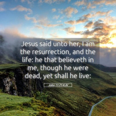 Picture 05 - John 11:25 KJV - Jesus said unto her, I am the resurrection, and - Bible Verse Picture