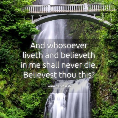 Picture 05 - John 11:26 KJV - And whosoever liveth and believeth in me shall - Bible Verse Picture