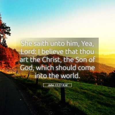 Picture 05 - John 11:27 KJV - She saith unto him, Yea, Lord: I believe that - Bible Verse Picture