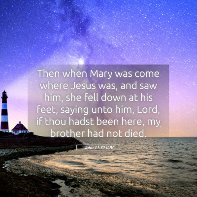 Picture 05 - John 11:32 KJV - Then when Mary was come where Jesus was, and saw - Bible Verse Picture