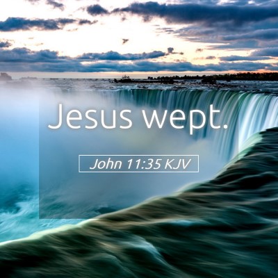 Picture 05 - John 11:35 KJV - Jesus - Bible Verse Picture