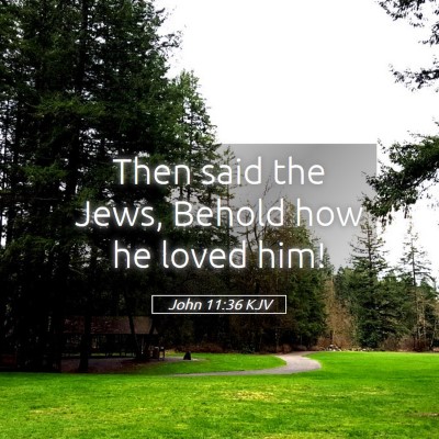Picture 05 - John 11:36 KJV - Then said the Jews, Behold how he loved - Bible Verse Picture