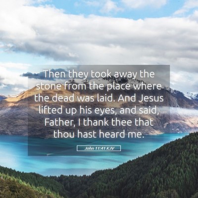 Picture 05 - John 11:41 KJV - Then they took away the stone from the place - Bible Verse Picture
