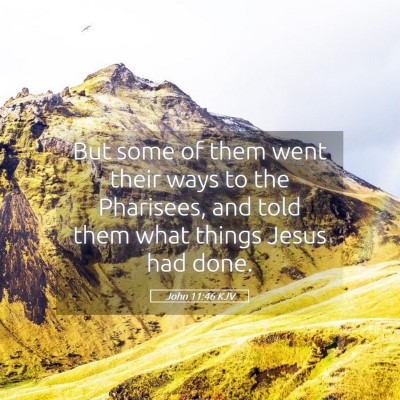 Picture 05 - John 11:46 KJV - But some of them went their ways to the - Bible Verse Picture