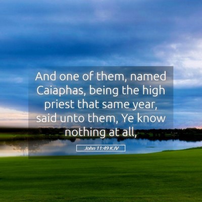 Picture 05 - John 11:49 KJV - And one of them, named Caiaphas, being the high - Bible Verse Picture