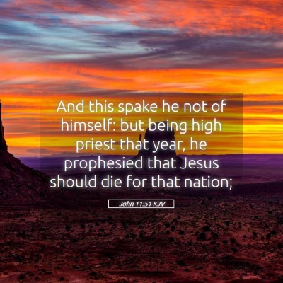 Picture 05 - John 11:51 KJV - And this spake he not of himself: but being high - Bible Verse Picture