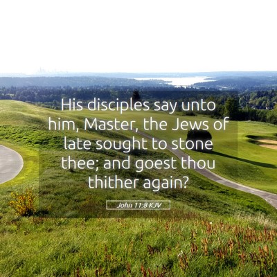 Picture 05 - John 11:8 KJV - His disciples say unto him, Master, the Jews of - Bible Verse Picture