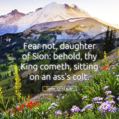 Picture 05 - John 12:15 KJV - Fear not, daughter of Sion: behold, thy King - Bible Verse Picture