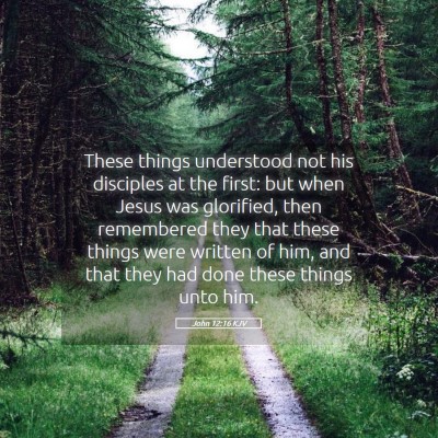 Picture 05 - John 12:16 KJV - These things understood not his disciples at the - Bible Verse Picture