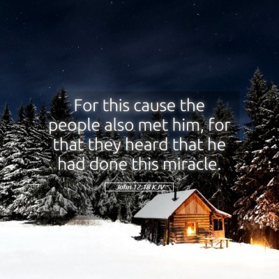 Picture 05 - John 12:18 KJV - For this cause the people also met him, for that - Bible Verse Picture