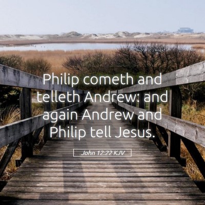 Picture 05 - John 12:22 KJV - Philip cometh and telleth Andrew: and again - Bible Verse Picture