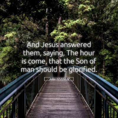 Picture 05 - John 12:23 KJV - And Jesus answered them, saying, The hour is - Bible Verse Picture
