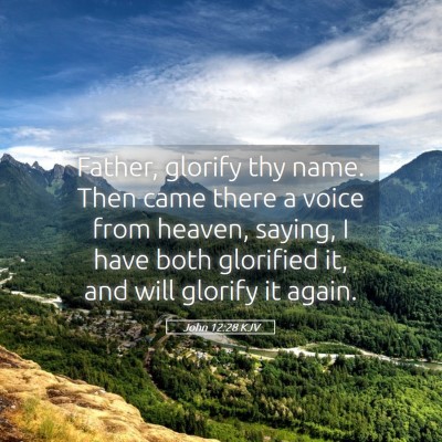 Picture 05 - John 12:28 KJV - Father, glorify thy name. Then came there a voice - Bible Verse Picture