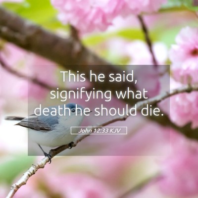 Picture 05 - John 12:33 KJV - This he said, signifying what death he should - Bible Verse Picture
