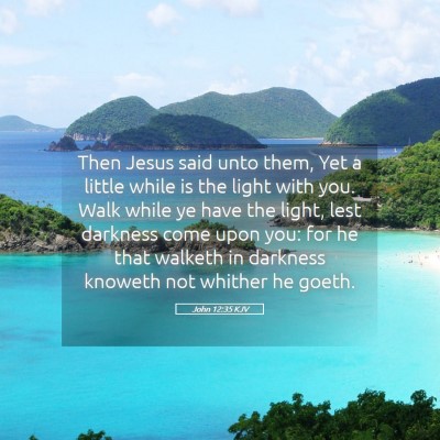 Picture 05 - John 12:35 KJV - Then Jesus said unto them, Yet a little while is - Bible Verse Picture