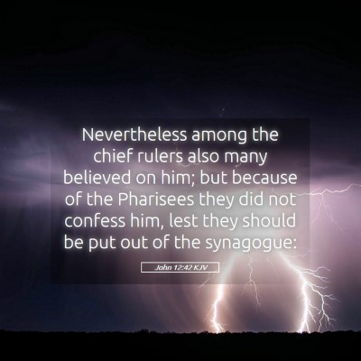 Picture 05 - John 12:42 KJV - Nevertheless among the chief rulers also many - Bible Verse Picture