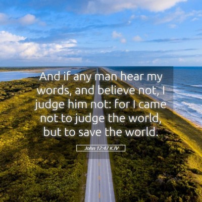 Picture 05 - John 12:47 KJV - And if any man hear my words, and believe not, I - Bible Verse Picture