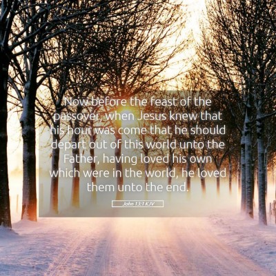 Picture 05 - John 13:1 KJV - Now before the feast of the passover, when Jesus - Bible Verse Picture