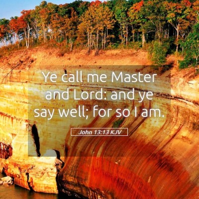 Picture 05 - John 13:13 KJV - Ye call me Master and Lord: and ye say well; for - Bible Verse Picture