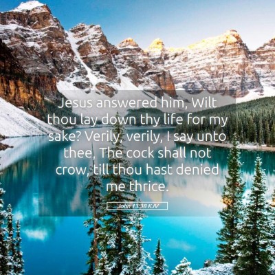 Picture 05 - John 13:38 KJV - Jesus answered him, Wilt thou lay down thy life - Bible Verse Picture