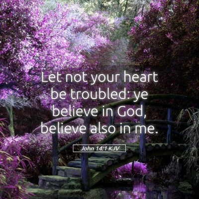 Picture 05 - John 14:1 KJV - Let not your heart be troubled: ye believe in - Bible Verse Picture
