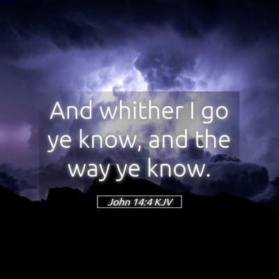 Picture 05 - John 14:4 KJV - And whither I go ye know, and the way ye - Bible Verse Picture