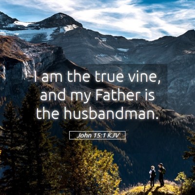 Picture 05 - John 15:1 KJV - I am the true vine, and my Father is the - Bible Verse Picture