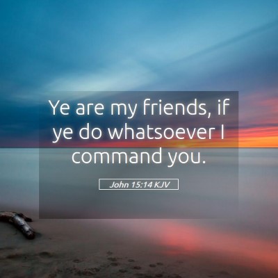 Picture 05 - John 15:14 KJV - Ye are my friends, if ye do whatsoever I command - Bible Verse Picture