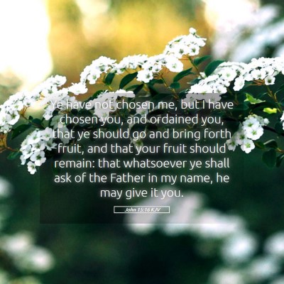 Picture 05 - John 15:16 KJV - Ye have not chosen me, but I have chosen you, and - Bible Verse Picture