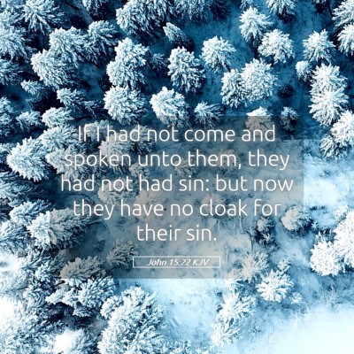 Picture 05 - John 15:22 KJV - If I had not come and spoken unto them, they had - Bible Verse Picture