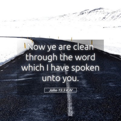 Picture 05 - John 15:3 KJV - Now ye are clean through the word which I have - Bible Verse Picture