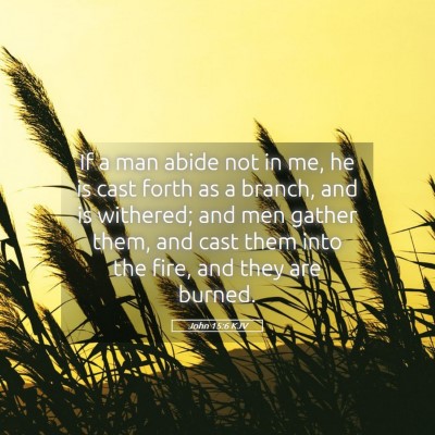 Picture 05 - John 15:6 KJV - If a man abide not in me, he is cast forth as a - Bible Verse Picture