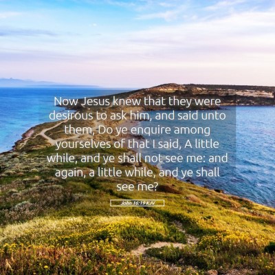 Picture 05 - John 16:19 KJV - Now Jesus knew that they were desirous to ask - Bible Verse Picture