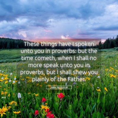 Picture 05 - John 16:25 KJV - These things have I spoken unto you in proverbs: - Bible Verse Picture